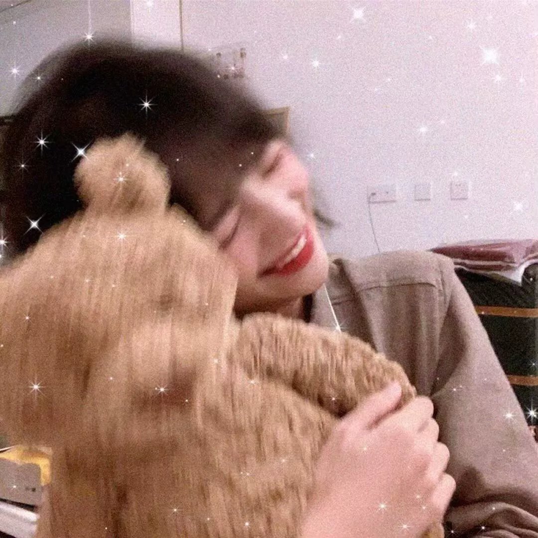 Gon的旱獭第二季